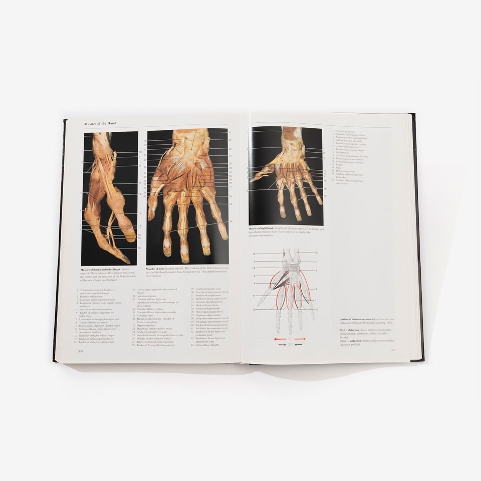Farbatlas der Anatomie - 1988